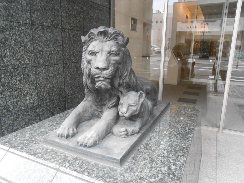 DSCN2879